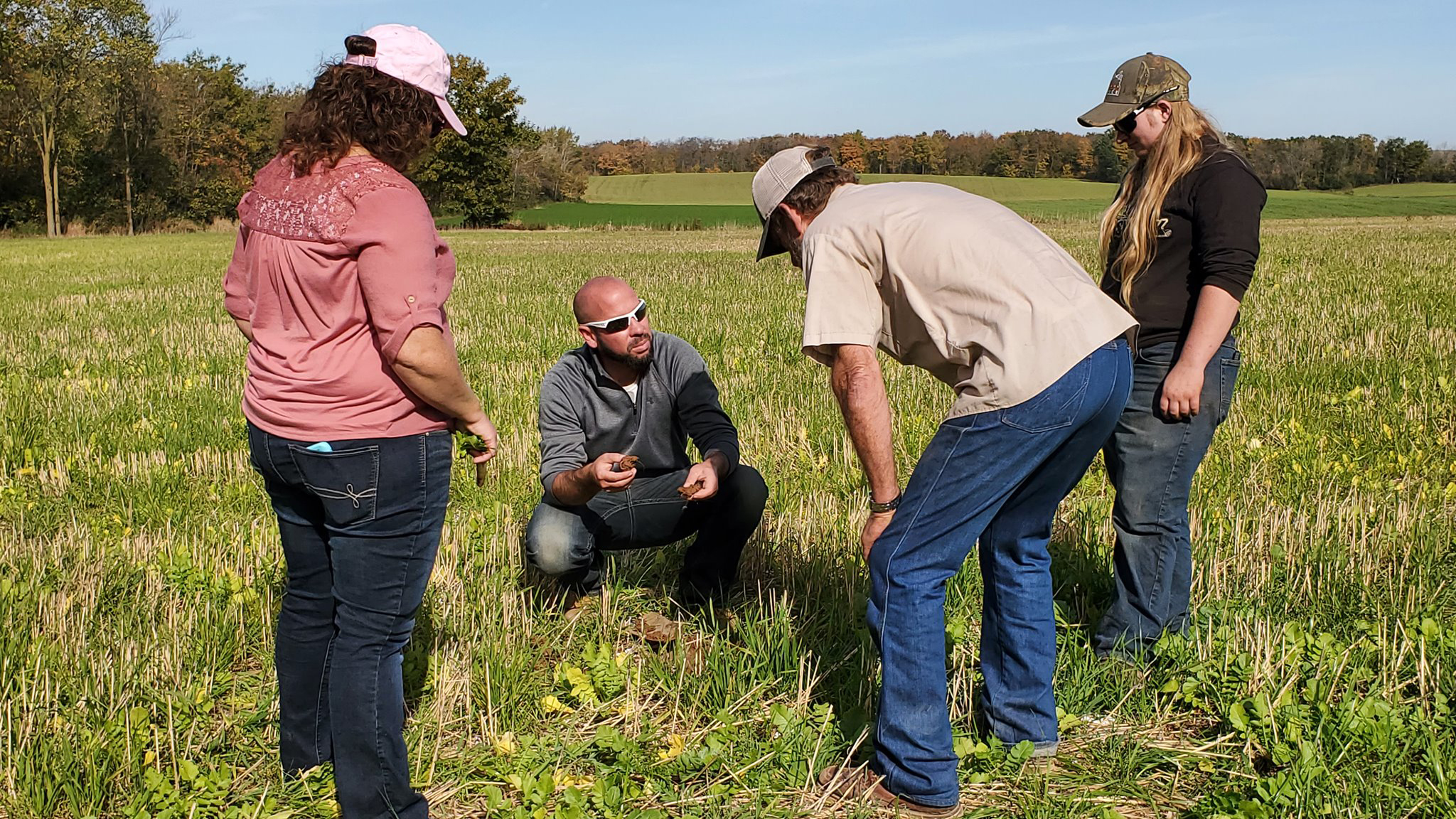 No-till and cover crop practices provide growing benefits in clay soil