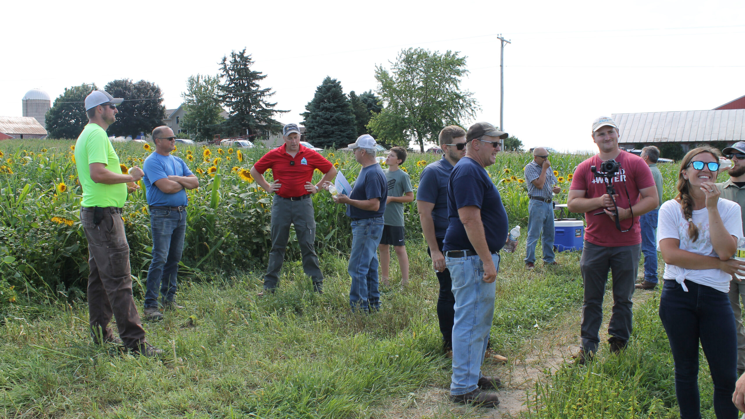 Loehr Dairy trials multi-species planted in between corn rows