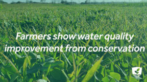 Farms show water quality improvement from conservation
